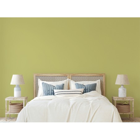 Pintura Living Colors Verde Menta