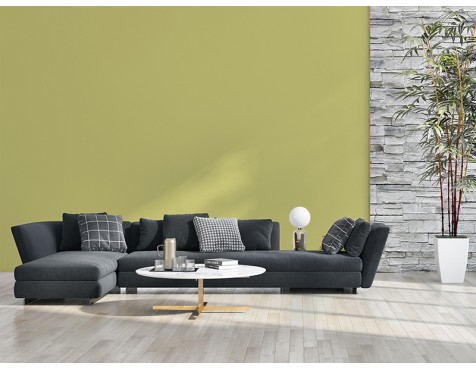 Pintura Living Colors Verd Festuc