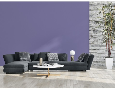 Pintura Living Colors Violeta Folk