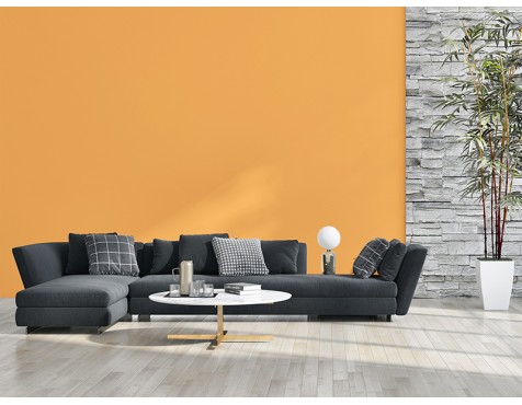 Pintura Living Colors Calabaza