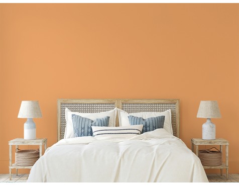 Pintura Living Colors Calabaza