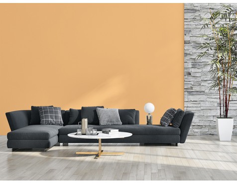 Pintura Living Colors Taronja Suau