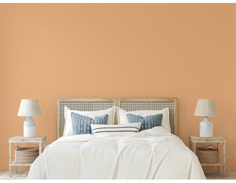 Pintura Living Colors Taronja Suau
