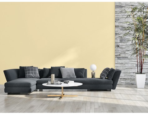 Pintura Living Colors Amarillo Trigo