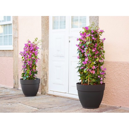 Maceta Campana Capri Antracita