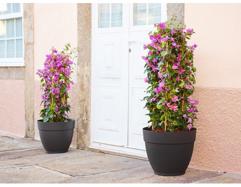 Maceta Campana Capri Antracita