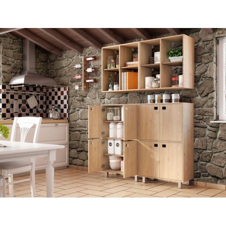 Módulo 4 Puertas Dina Pino Macizo