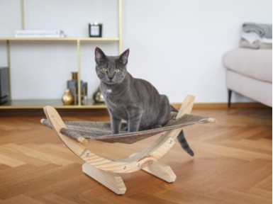 Las mejores 25 ideas de Escaleras para gato  escaleras para gato, muebles para  gatos, muebles para gato
