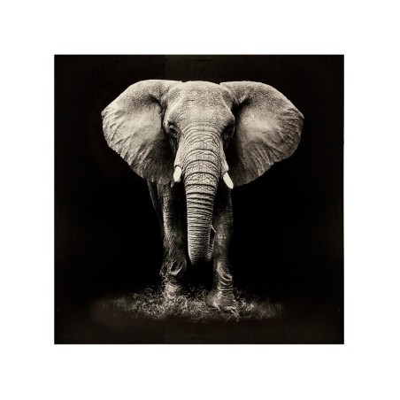 Quadre En Llenç Elefant Blanc I Negre