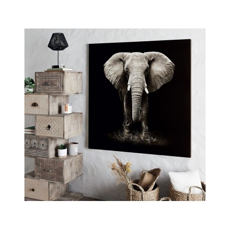 Quadre En Llenç Elefant Blanc I Negre