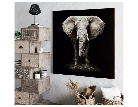 Quadre En Llenç Elefant Blanc I Negre