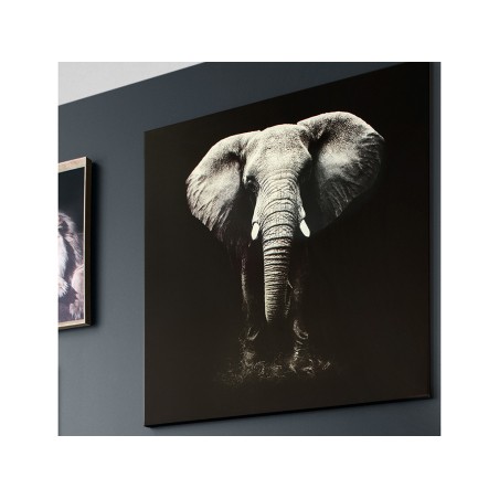 Quadre En Llenç Elefant Blanc I Negre