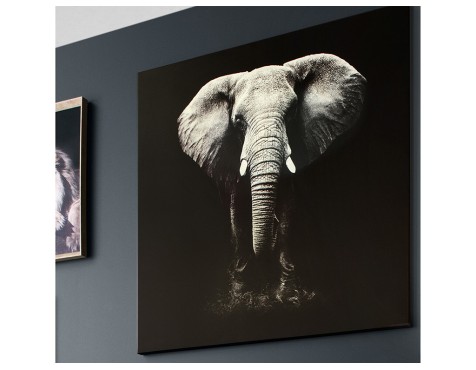 Quadre En Llenç Elefant Blanc I Negre