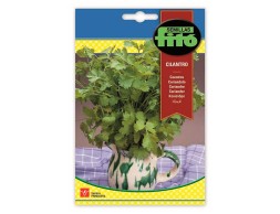 Cilantro