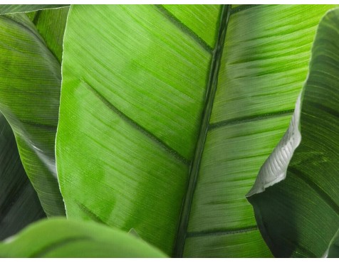 Planta Artificial Platanero