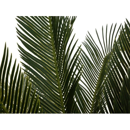 Planta Artificial Pinya