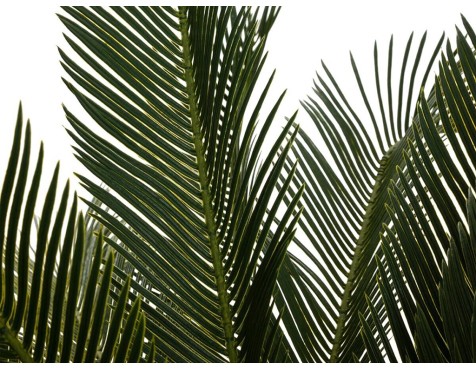 Planta Artificial Pinya