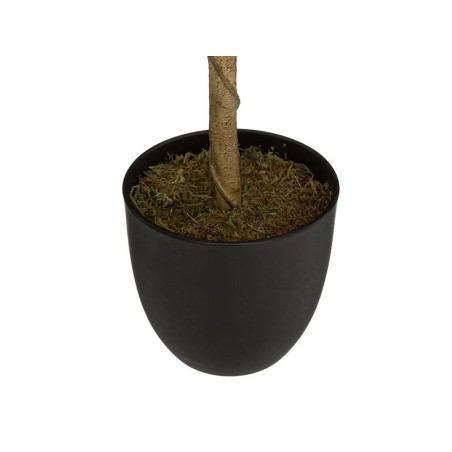 Planta Articial Llimoner