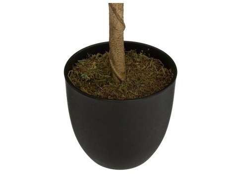 Planta Artificial Limonero
