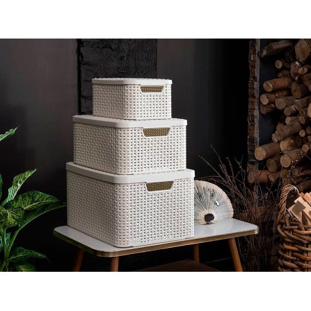 Cistella My Style L v2 Amb Tapa Blanca