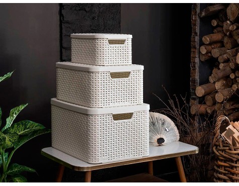Cistella My Style L v2 Amb Tapa Blanca