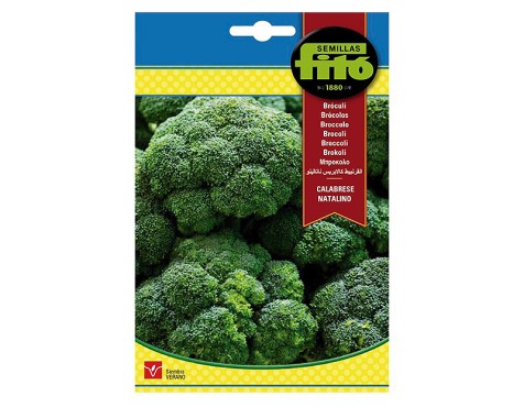 Brócoli Calabro Natalino