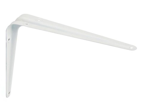 Palomilla Blanca