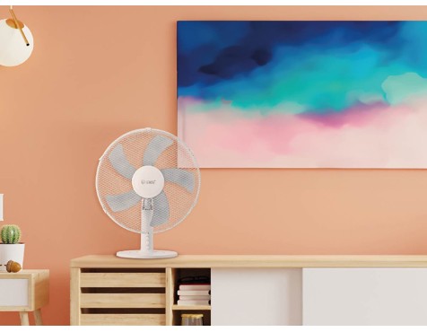 Ventilador De Sobremesa Macomia Blanco
