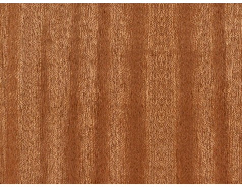 Guardavivo Adhesivo Mdf Sapelly