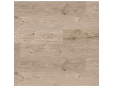 Sòcol Mdf Roure Buzzard